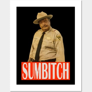 sumbitch Posters and Art